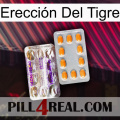 Erección Del Tigre new12